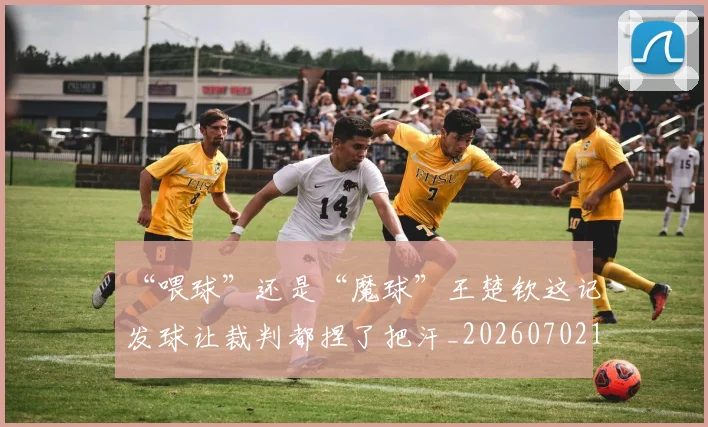 “喂球”还是“魔球”王楚钦这记发球让裁判都捏了把汗_20260702172543