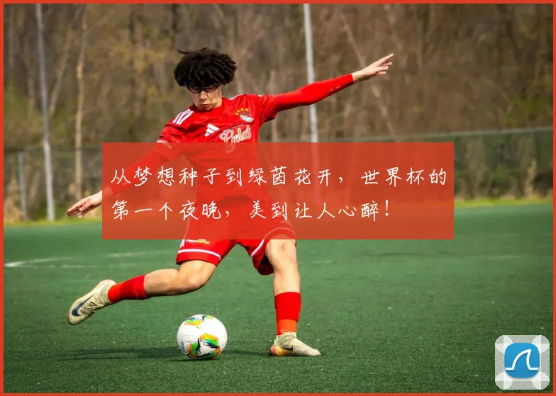从梦想种子到绿茵花开，世界杯的第一个夜晚，美到让人心醉！